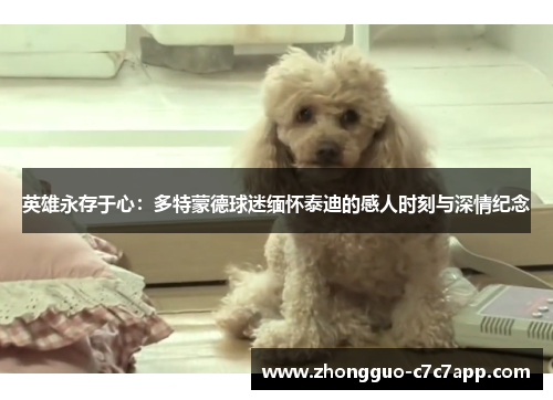 英雄永存于心：多特蒙德球迷缅怀泰迪的感人时刻与深情纪念