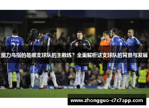 魔力鸟指的是哪支球队的主教练？全面解析这支球队的背景与发展